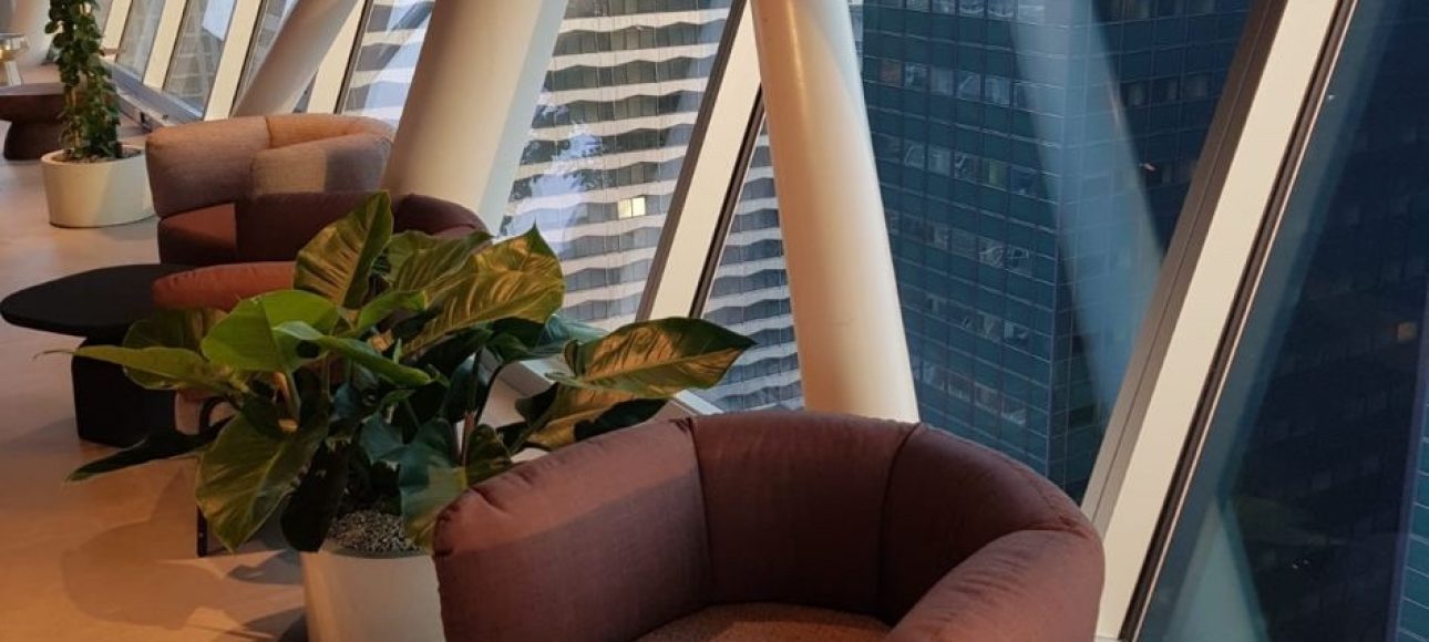 WhatsApp Image 2024-11-18 at 11.56.52